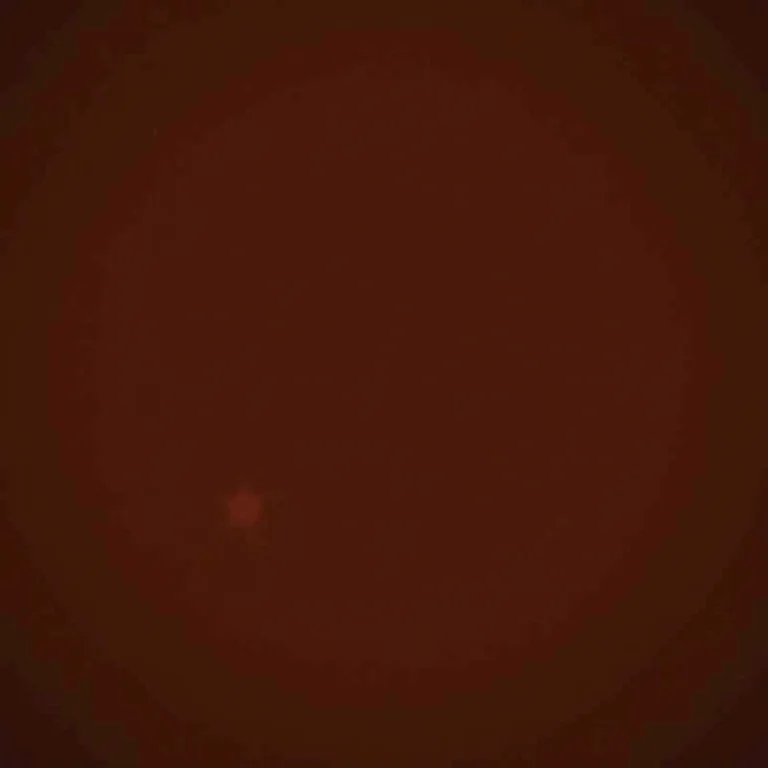 Convidados celebrando em festa de casamento no Hotel Arraial d'Ajuda Eco Resort.