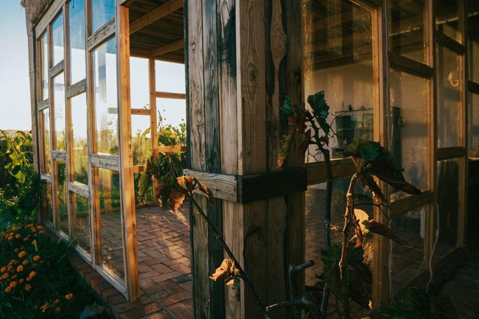 Aproveite a luz natural no horário certo