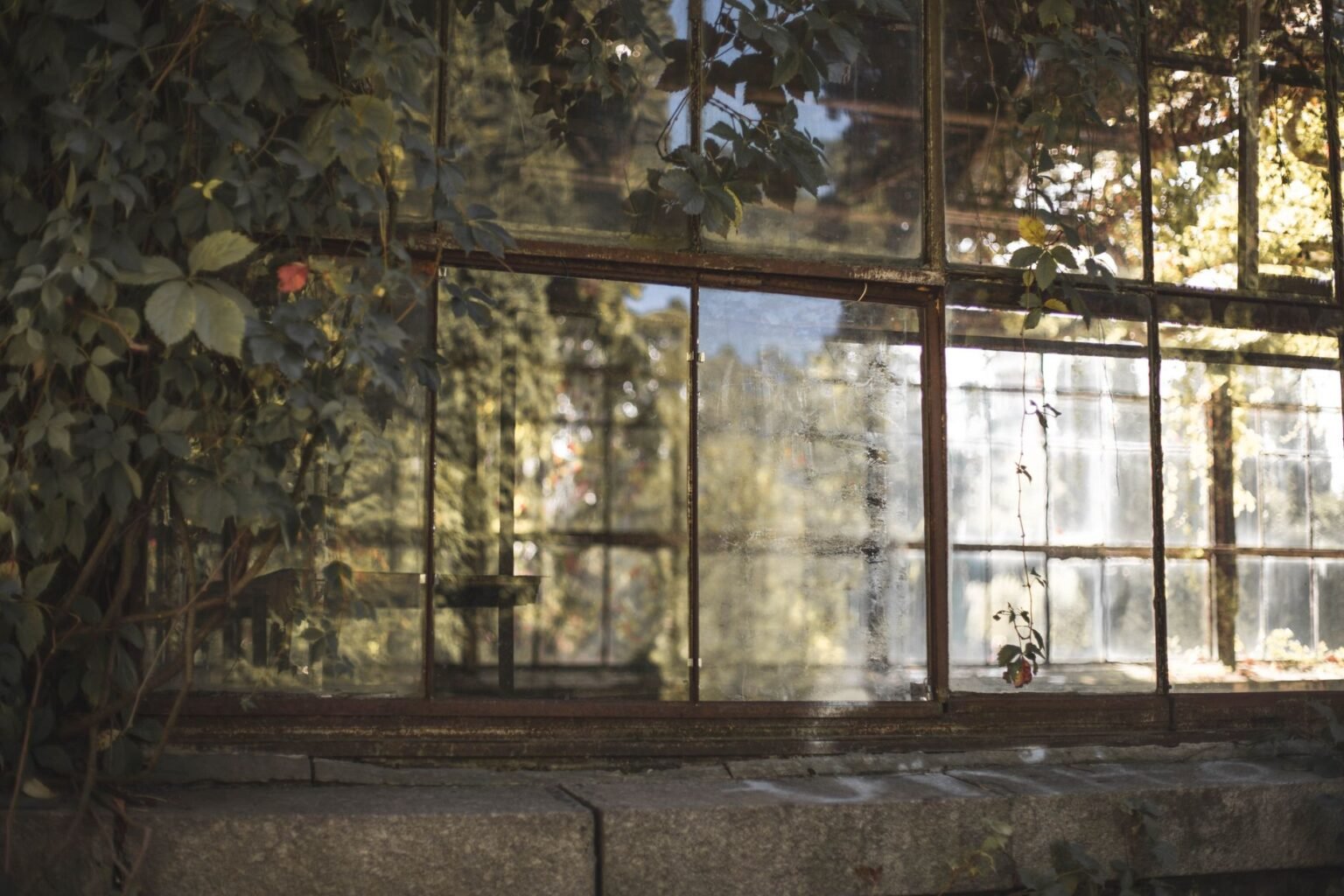 Casamento em estufa de vidro: 7 ideias para um cenário romântico e cheio de luz