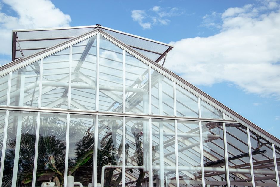 7 ideias para montar seu casamento na estufa de vidro