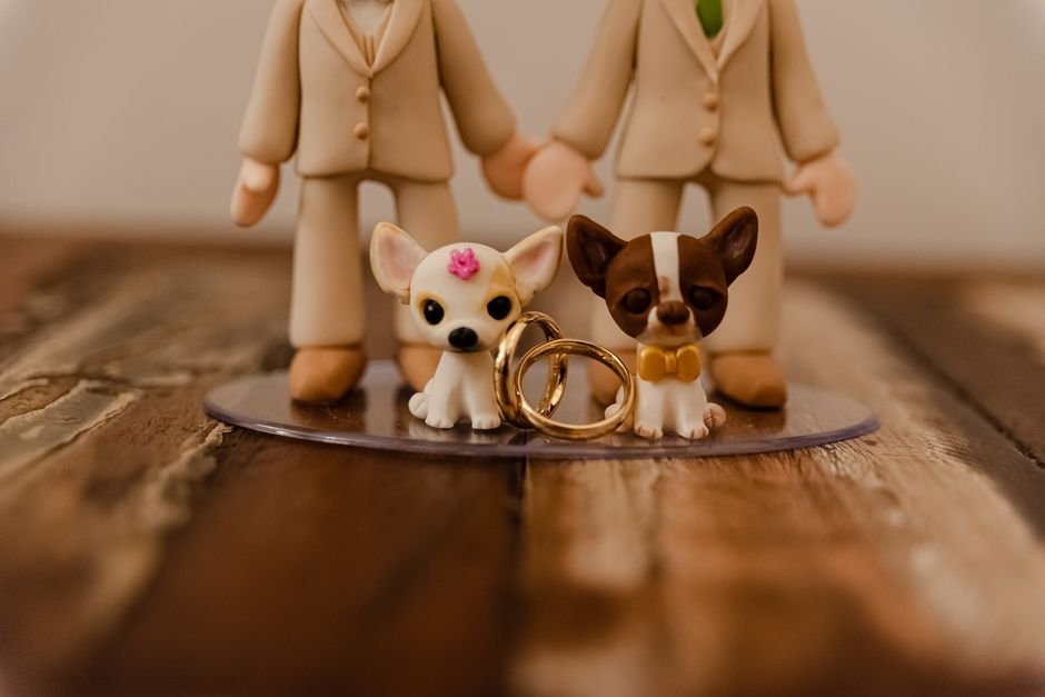 Por que incluir o pet no casamento está em alta