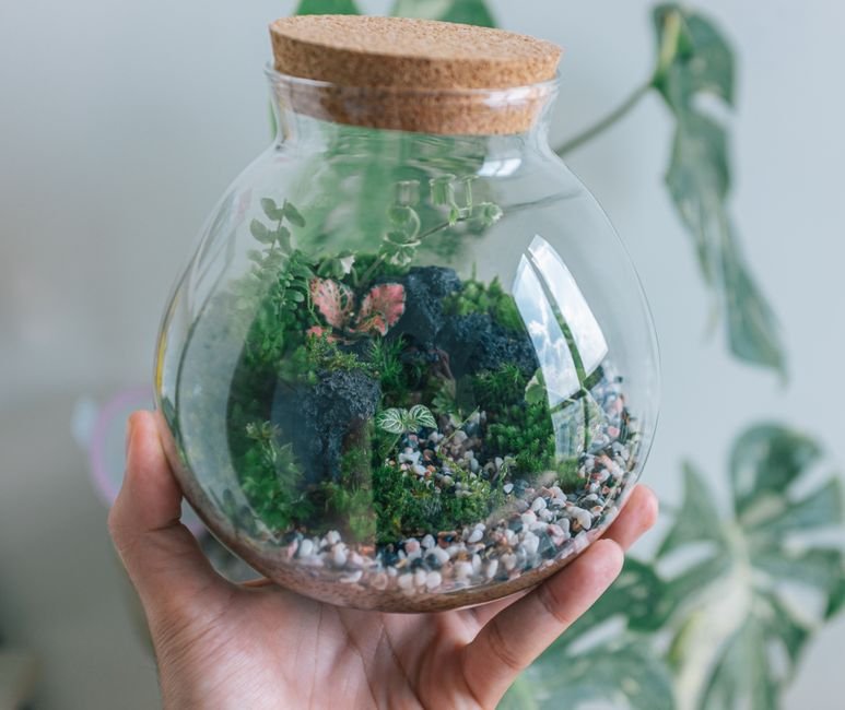 Escolha um recipiente para guardar depois
