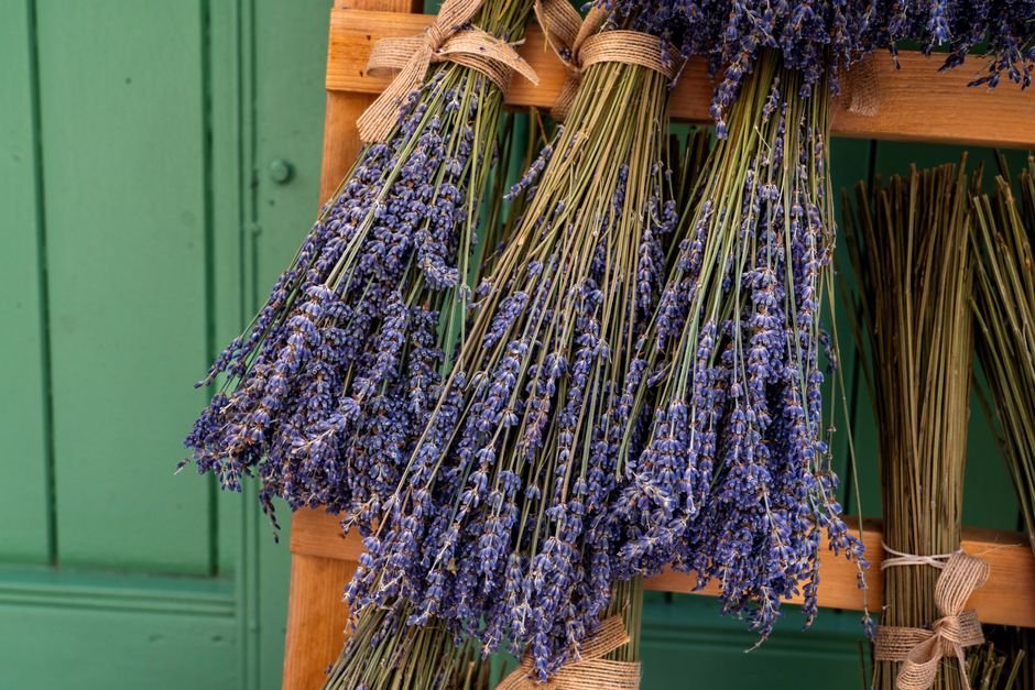 Lavanda seca