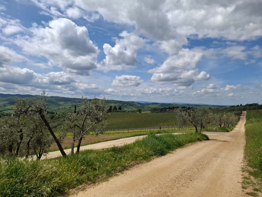 5. Toscana rural