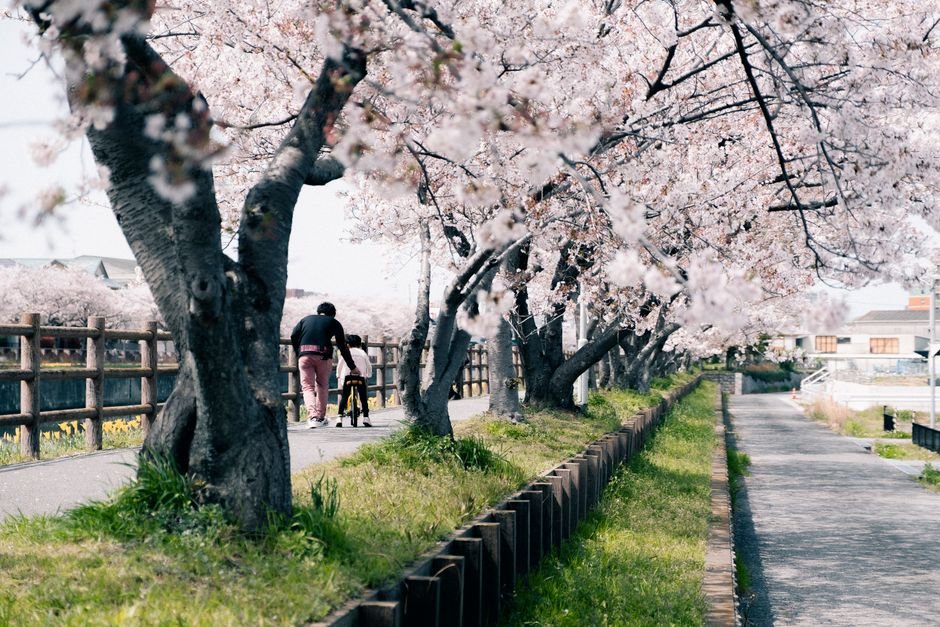 7. Templo dourado em Kyoto